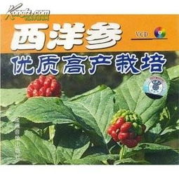 浙江西洋參種植技術與黑參產品開發(fā)